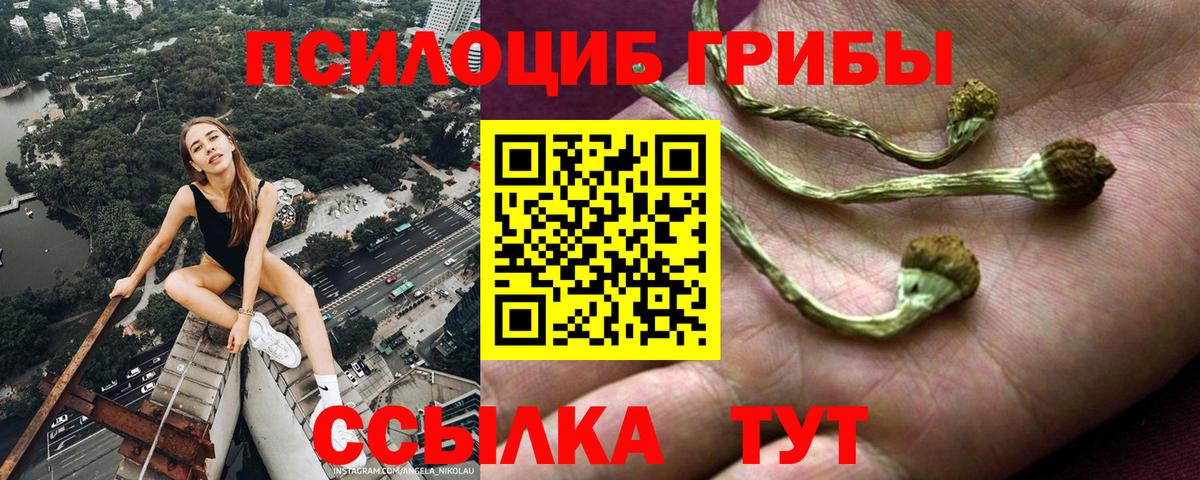 Галлюциногенные грибы GOLDEN TEACHER  Вход с VPN  как найти закладки  Асбест  Псилоцибиновые грибы ЛСД 